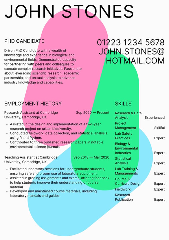 PhD resume example