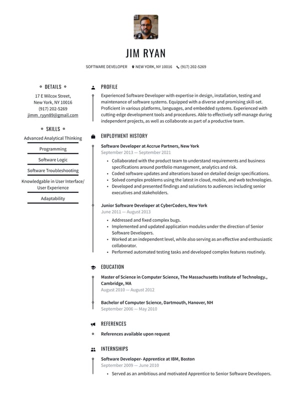 Software Developer resume example