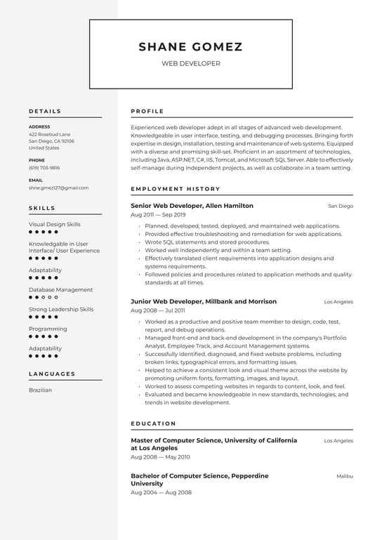 Web Developer resume examples & templates
